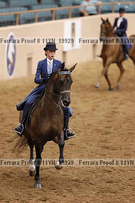 Proof 11yn_19929