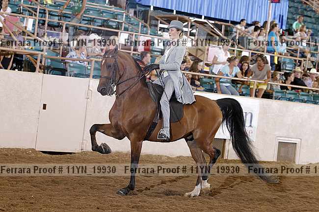 Proof 11yn_19930