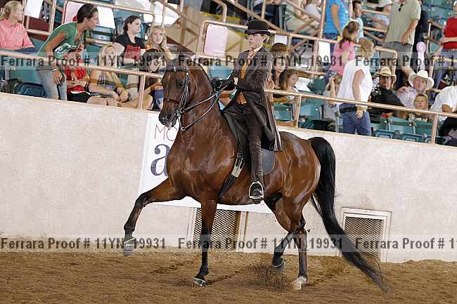 Proof 11yn_19931