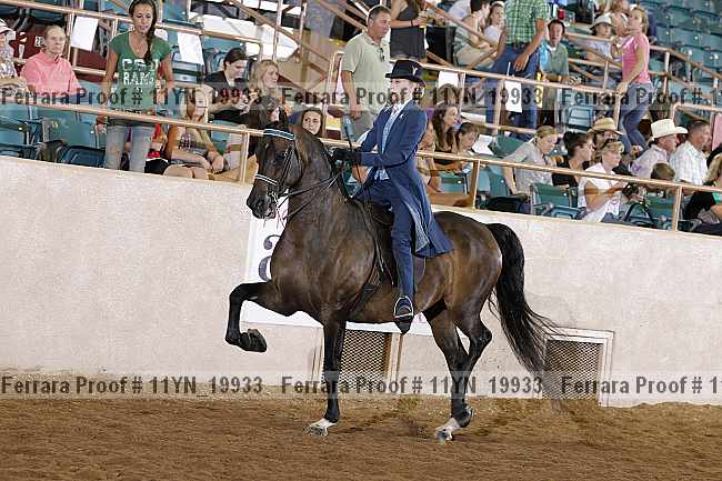 Proof 11yn_19933