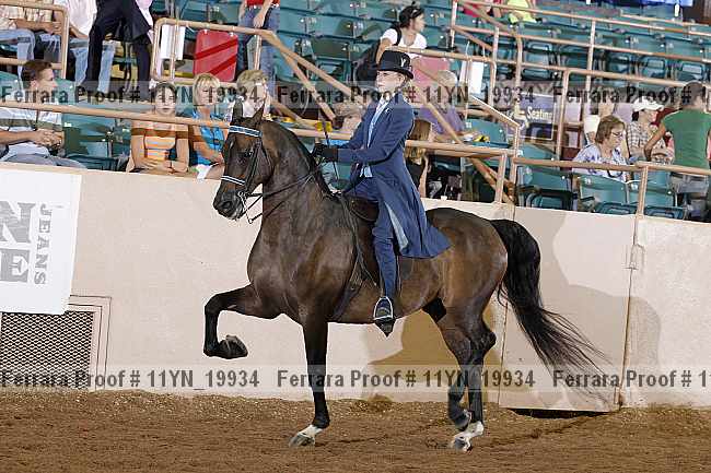 Proof 11yn_19934