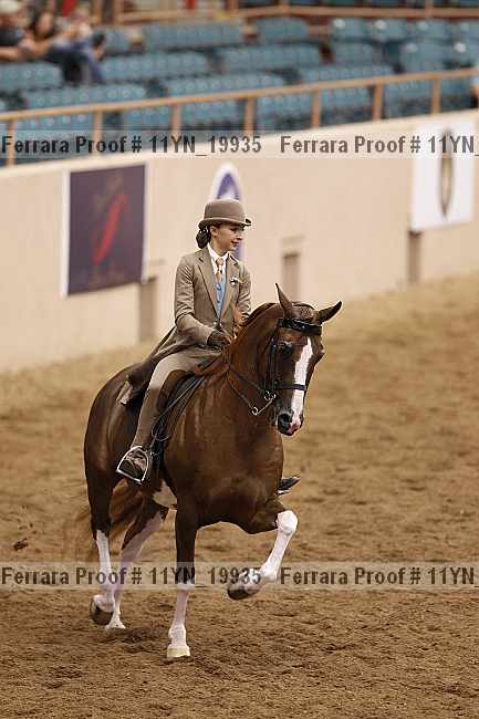 Proof 11yn_19935