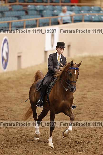 Proof 11yn_19937