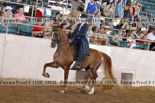 Proof 11yn_19938