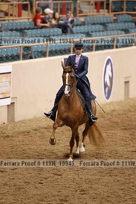 Proof 11yn_19945