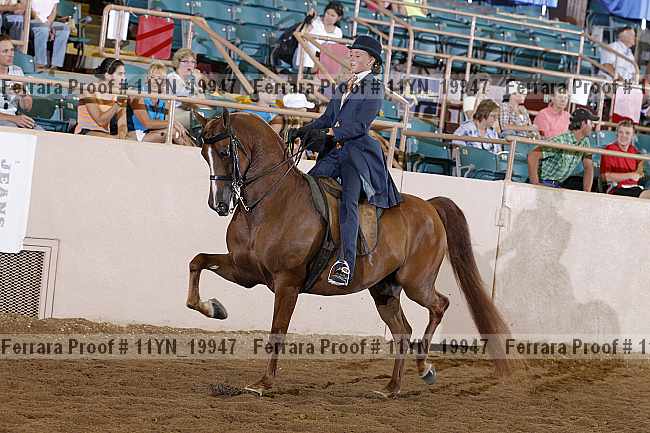 Proof 11yn_19947