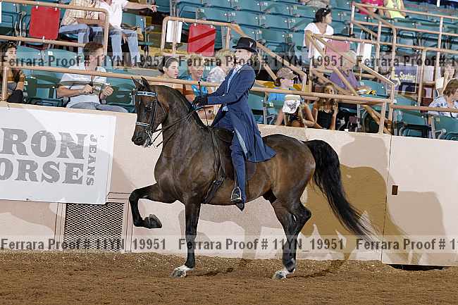 Proof 11yn_19951
