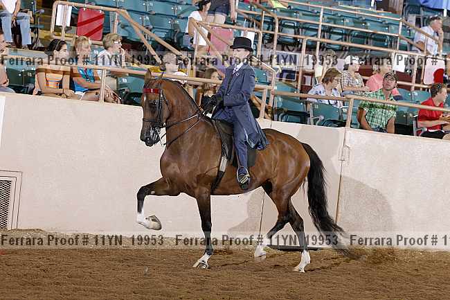 Proof 11yn_19953