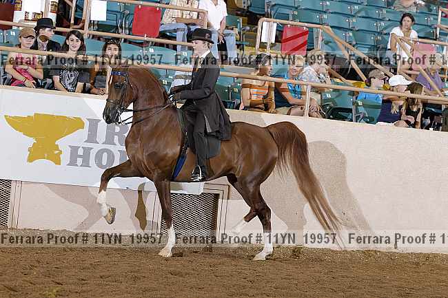 Proof 11yn_19957