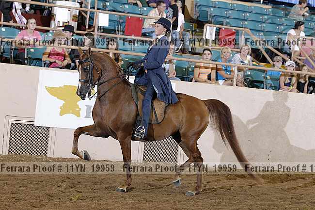 Proof 11yn_19959