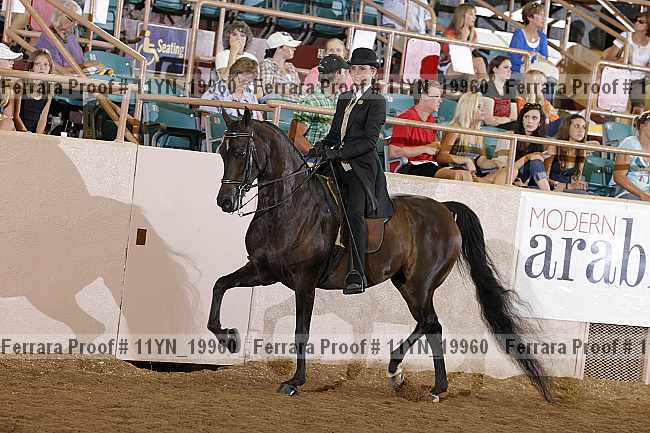 Proof 11yn_19960