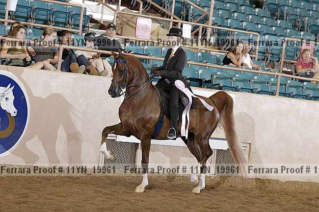 Proof 11yn_19961