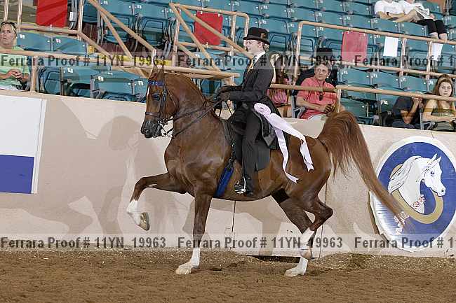 Proof 11yn_19963