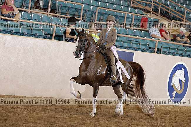Proof 11yn_19964