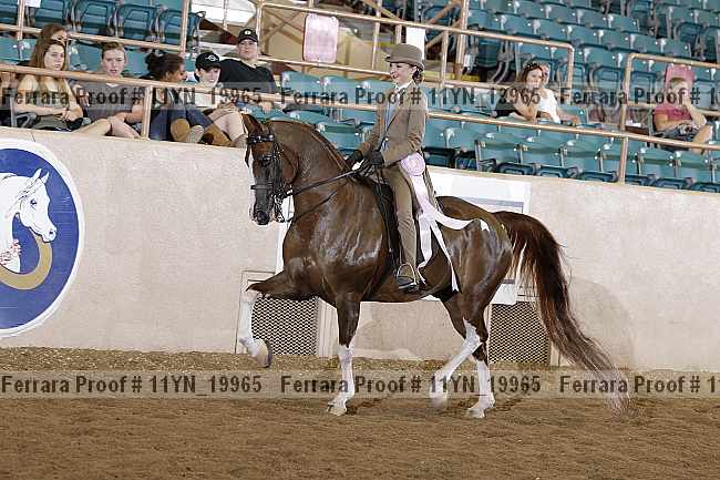 Proof 11yn_19965