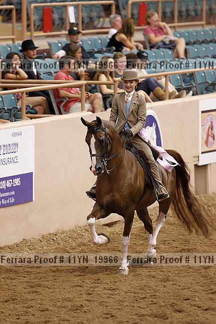 Proof 11yn_19966
