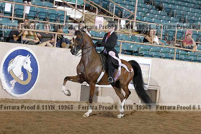 Proof 11yn_19968