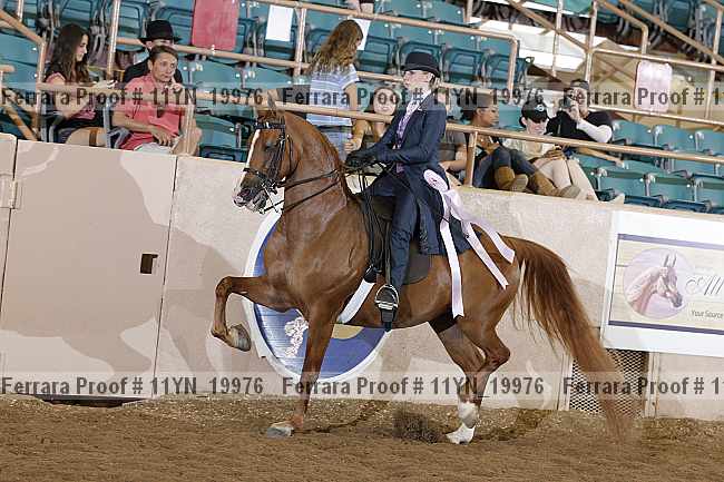 Proof 11yn_19976