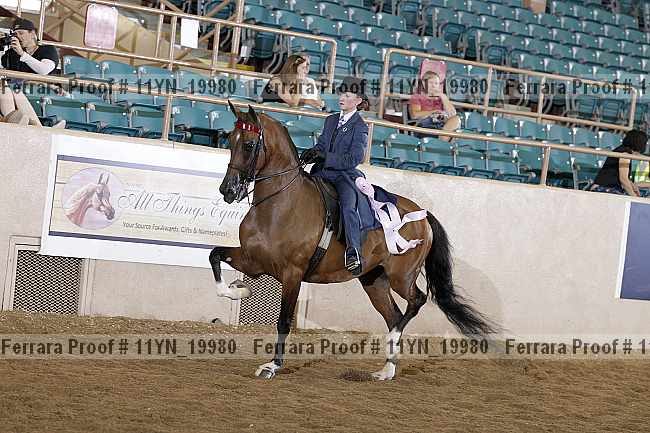 Proof 11yn_19980