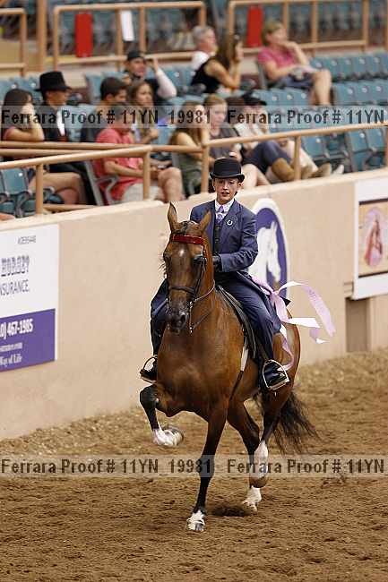Proof 11yn_19981