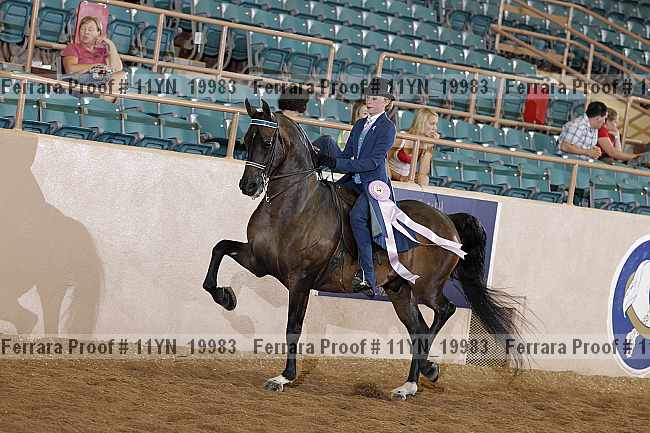 Proof 11yn_19983