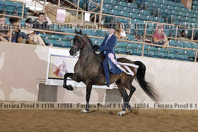 Proof 11yn_19984