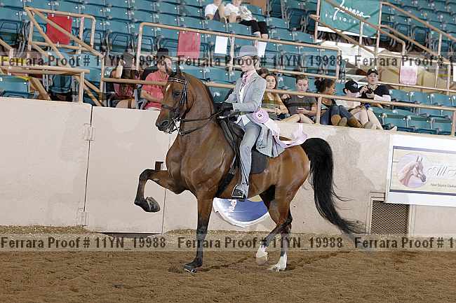 Proof 11yn_19988