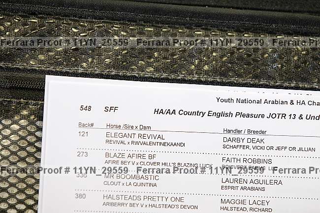 Proof 11yn_29559