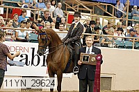 11yn_29624 proof