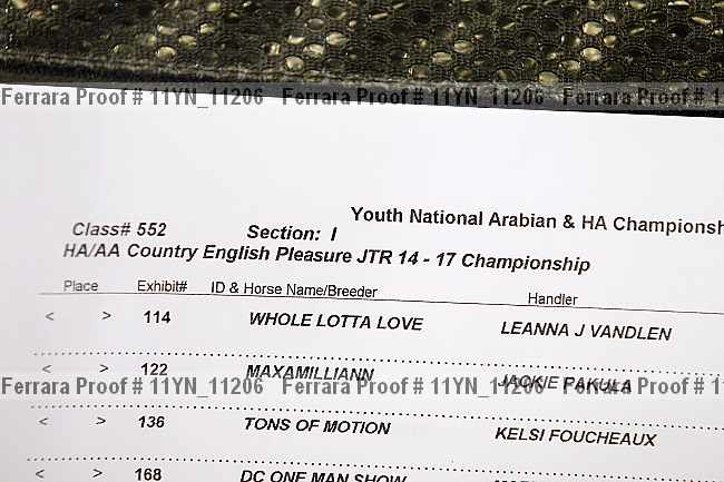 Proof 11yn_11206