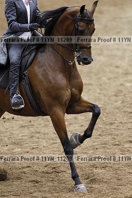 Proof 11yn_11209