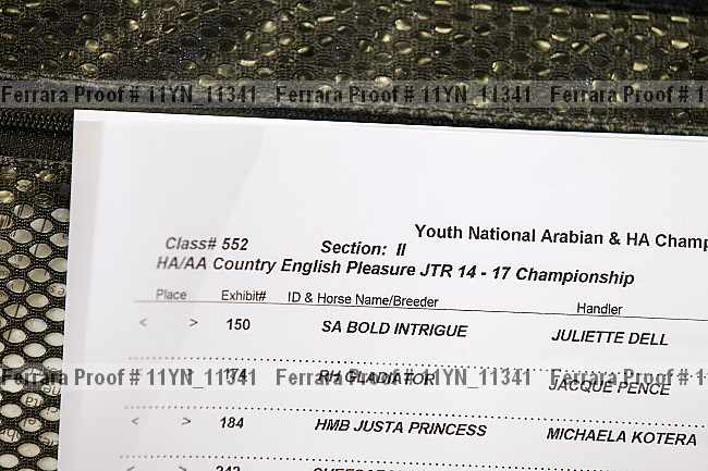 Proof 11yn_11341