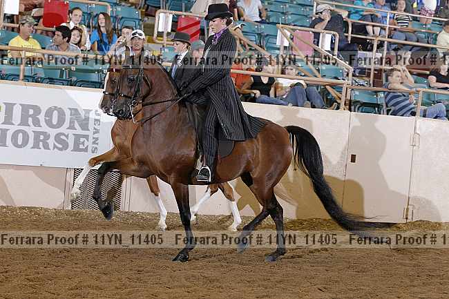Proof 11yn_11405