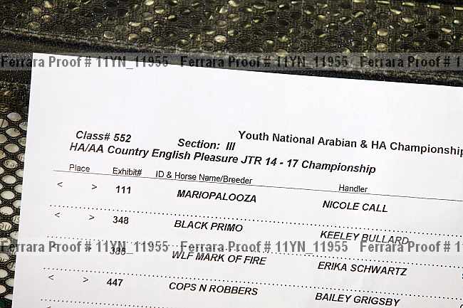Proof 11yn_11955