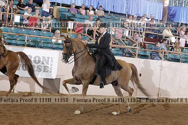 Proof 11yn_11958