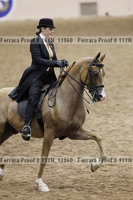 Proof 11yn_11960