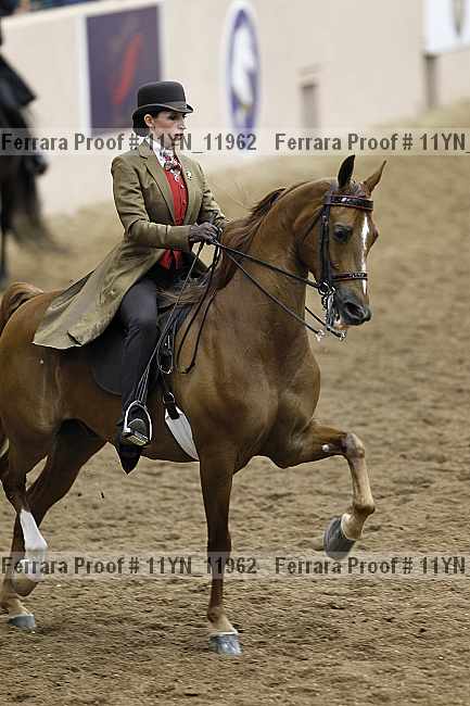 Proof 11yn_11962