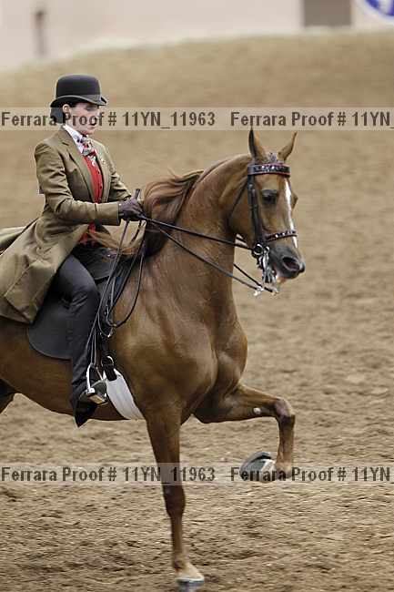 Proof 11yn_11963