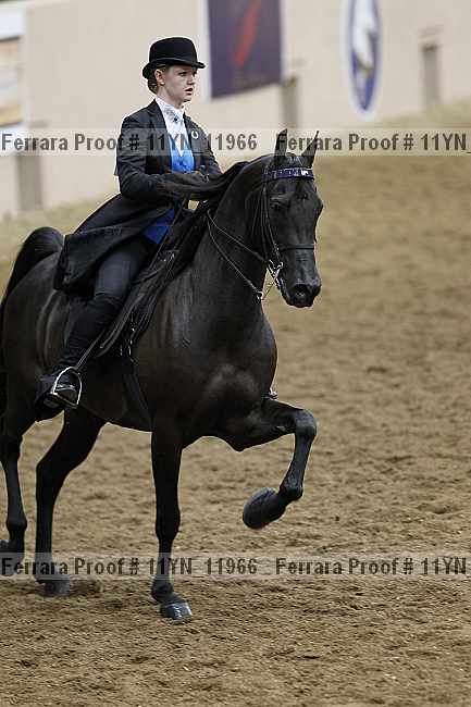 Proof 11yn_11966