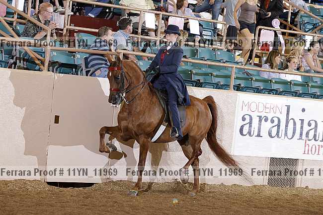 Proof 11yn_11969