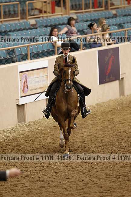 Proof 11yn_11976
