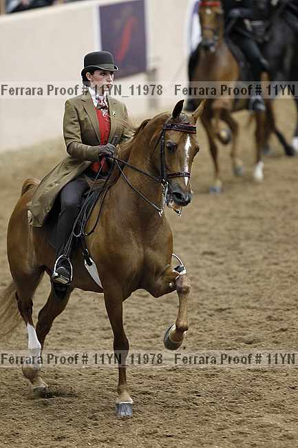 Proof 11yn_11978