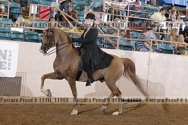 Proof 11yn_11980