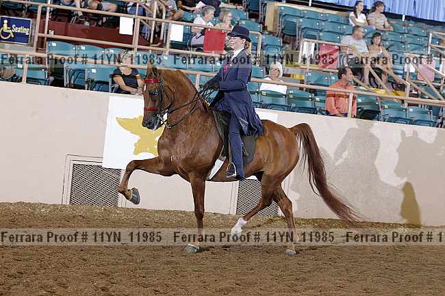Proof 11yn_11985