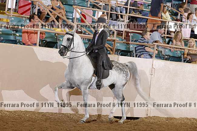Proof 11yn_11995