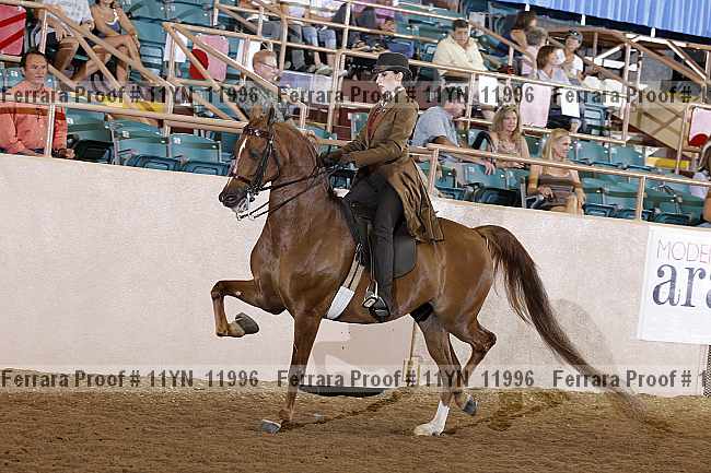 Proof 11yn_11996