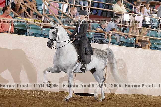 Proof 11yn_12005