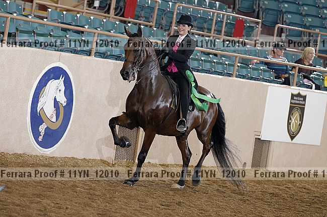 Proof 11yn_12010
