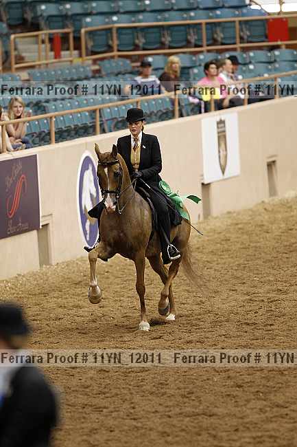 Proof 11yn_12011