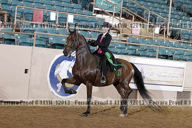 Proof 11yn_12013